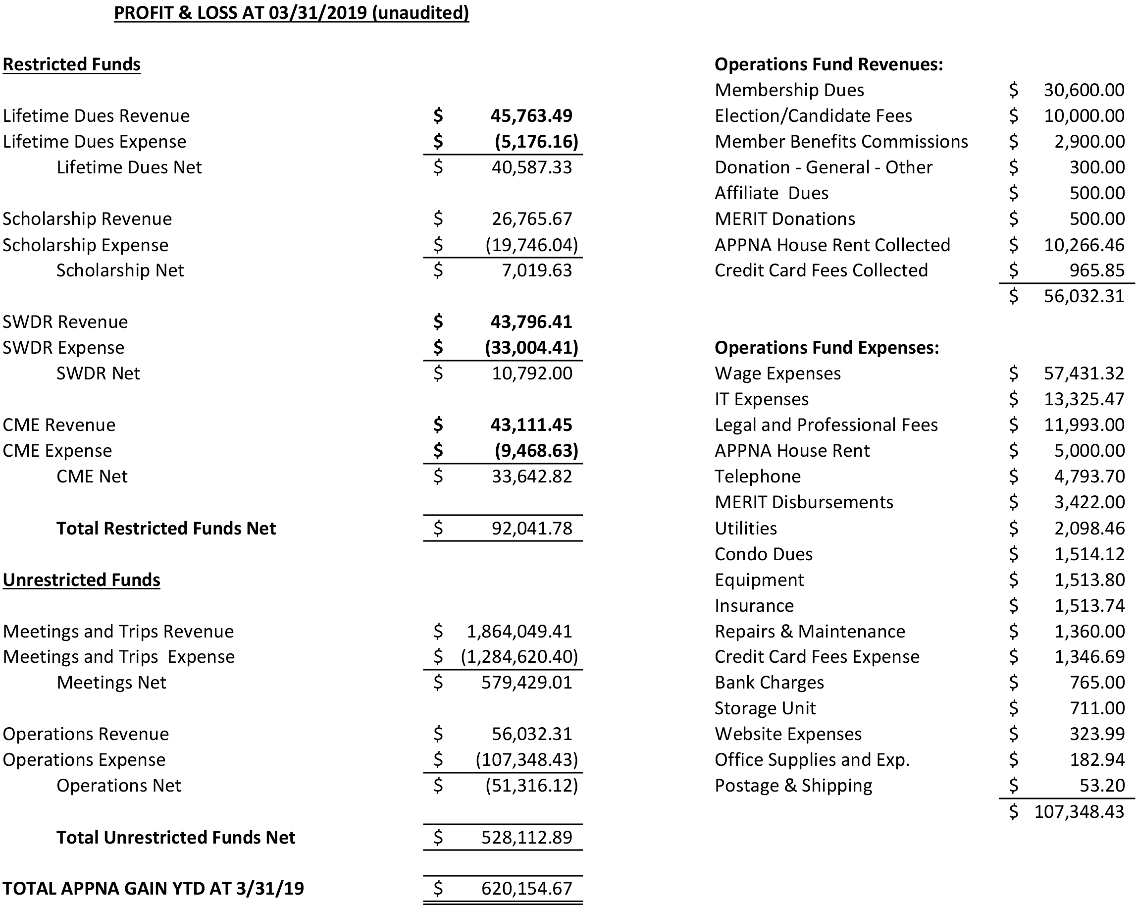 Quarterly Financial Statements 2019 - APPNA